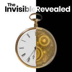 Invisible Revealed image